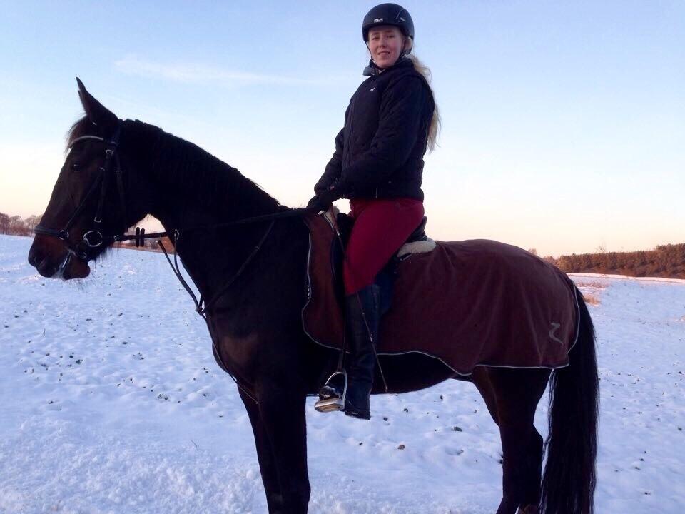 Traver Alica Gold  billede 37