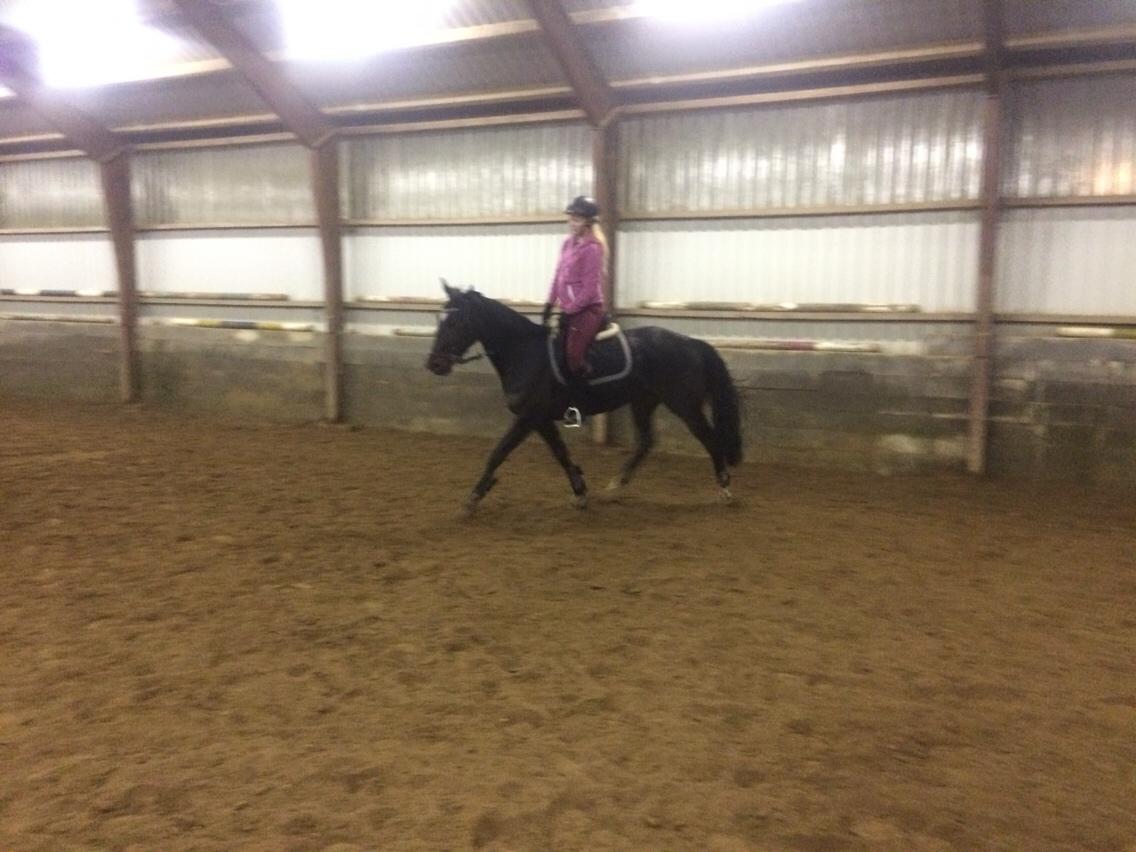 Traver Alica Gold  billede 36