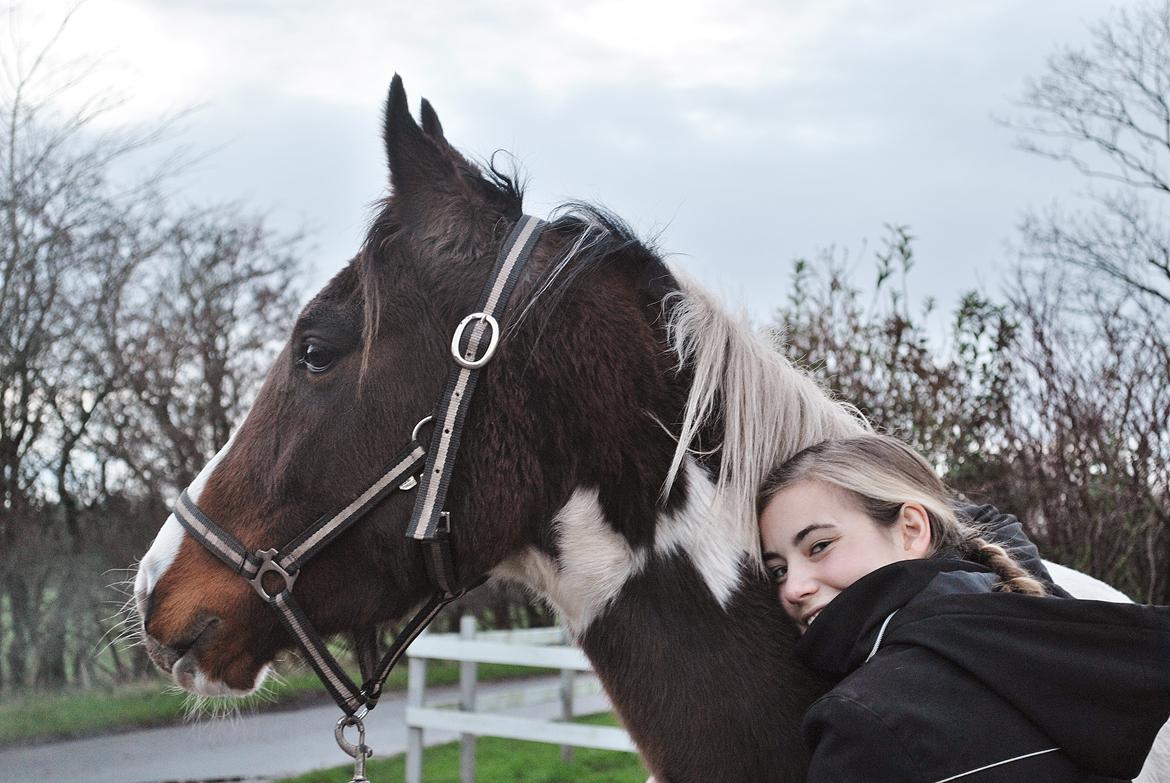 Anden særlig race Bugatti - 25. 11. 2015 billede 2