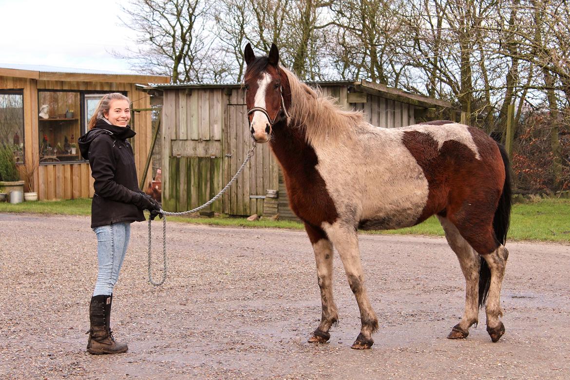 Anden særlig race Bugatti - 10. Februar 2016 billede 3