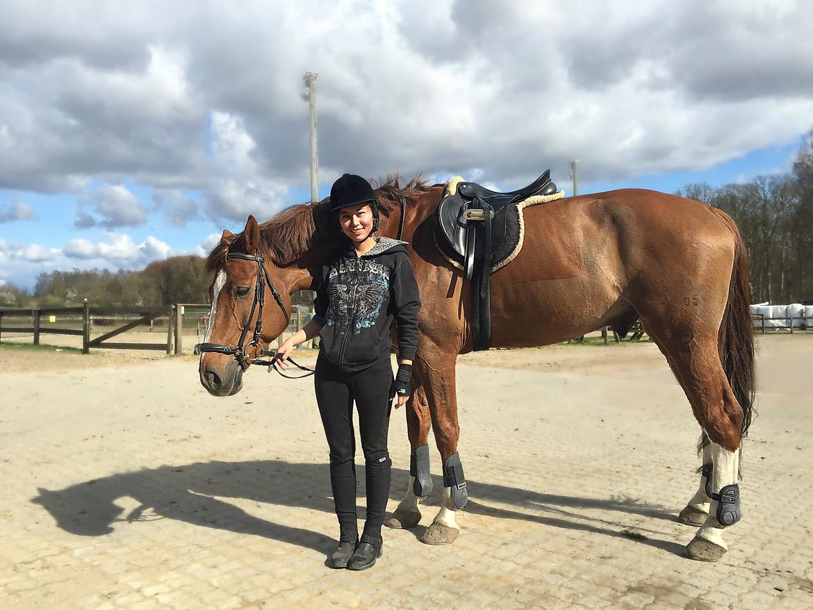 Tysk Oldenburger Lifestyle - Billede taget af Julie Ehlers billede 20