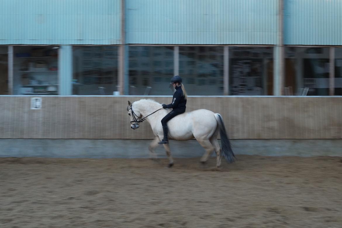 Anden særlig race Felix billede 19