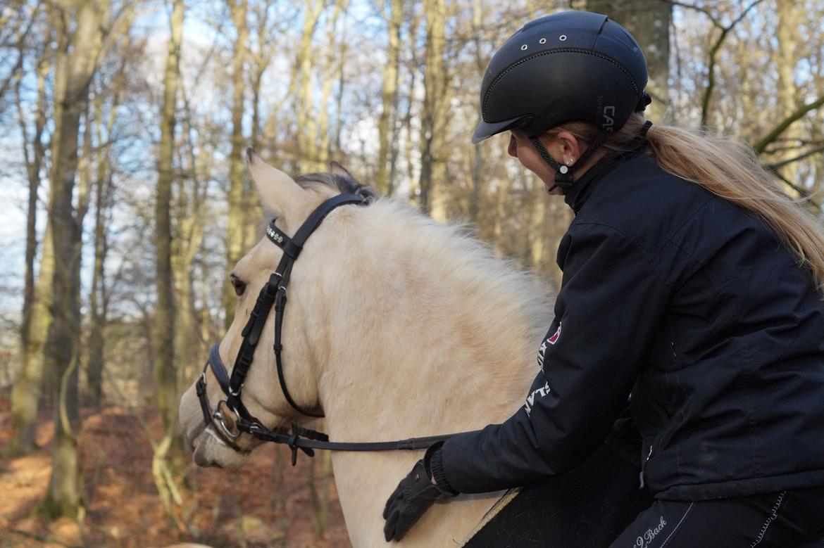 Anden særlig race Felix billede 20