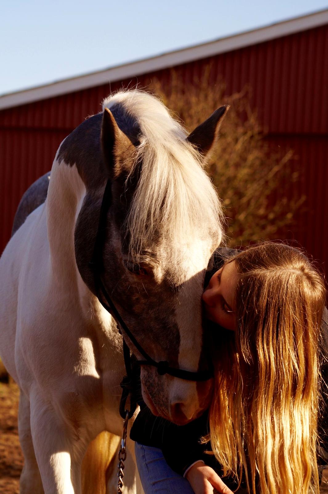 Anden særlig race Clements MilkyWay - et af mine ydlings billeder fra et photoshoot <3 billede 19