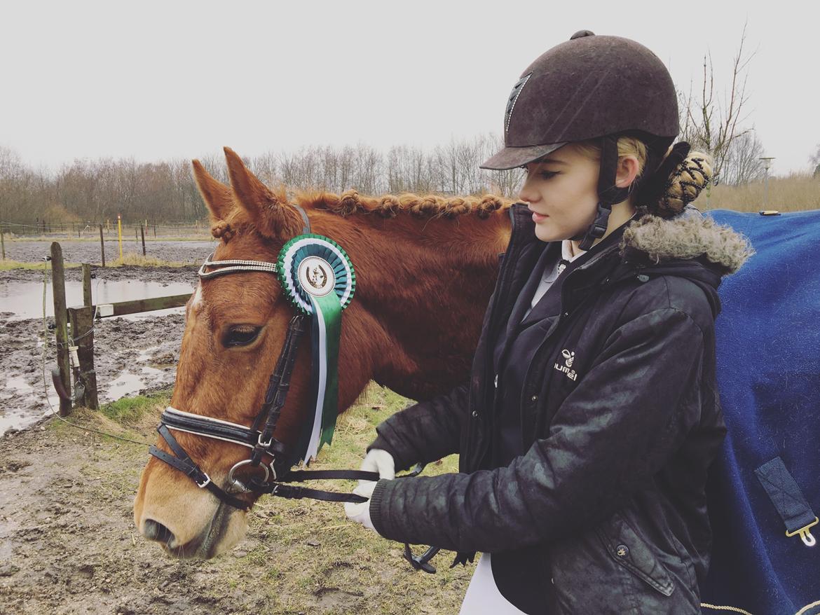 New Forest Nina (Ninja) - Min første placering på Ninja :) billede 20