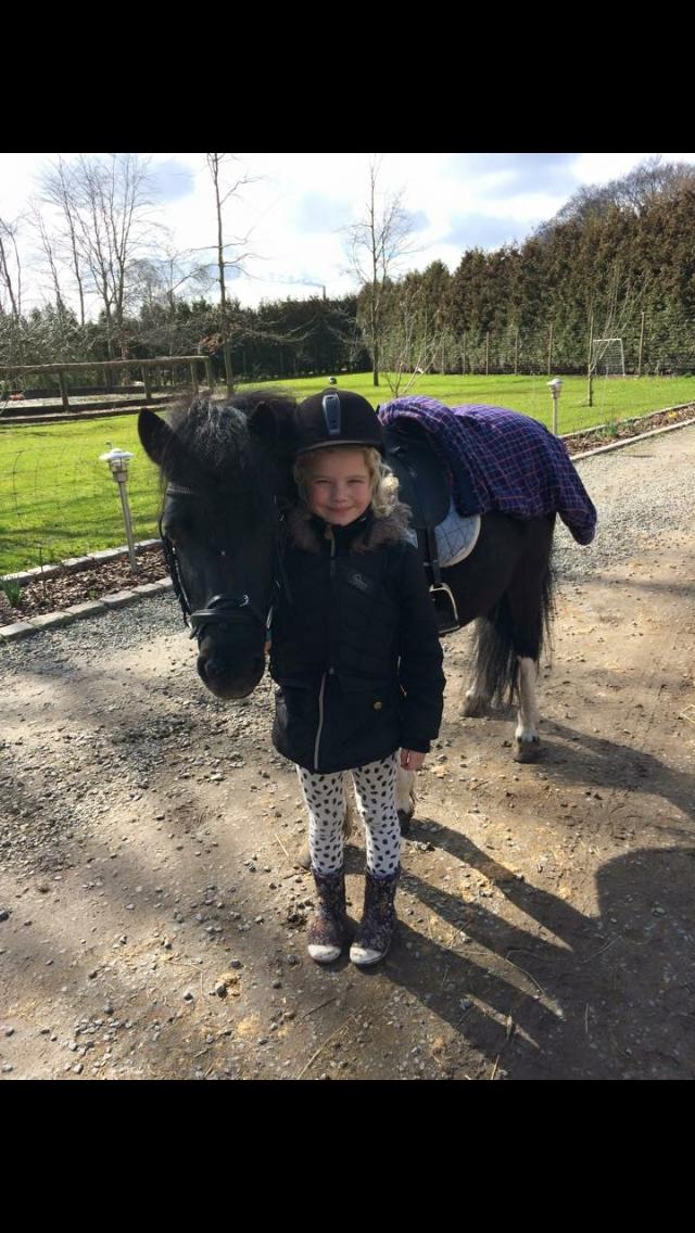 Anden særlig race Roosgårdens Viktor  billede 7