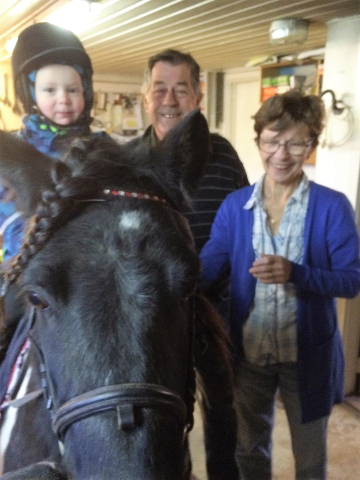 Anden særlig race Roosgårdens Viktor  billede 12