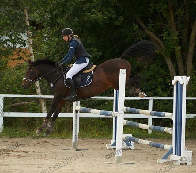 Svensk Sportspony  BARBIE GIRL - LA på Maarum rideklub billede 12