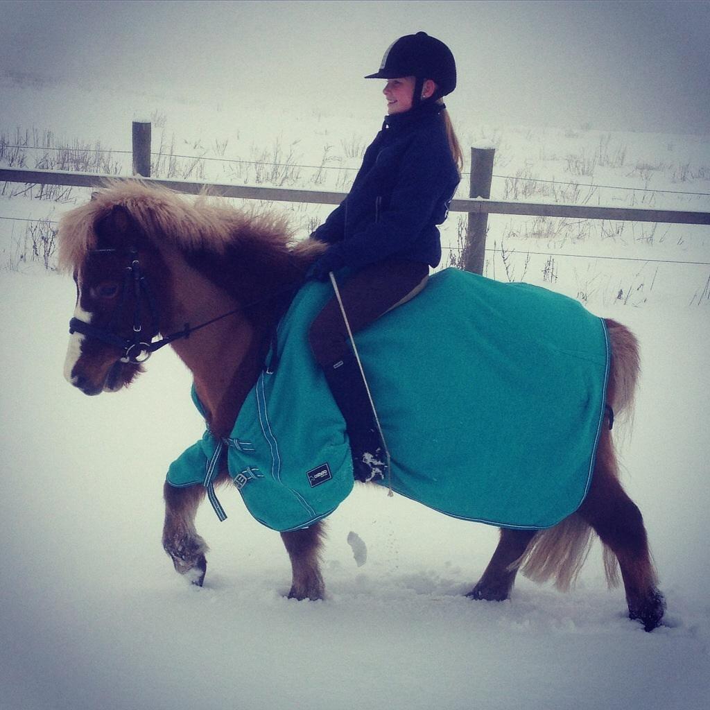 Anden særlig race Diesel billede 14