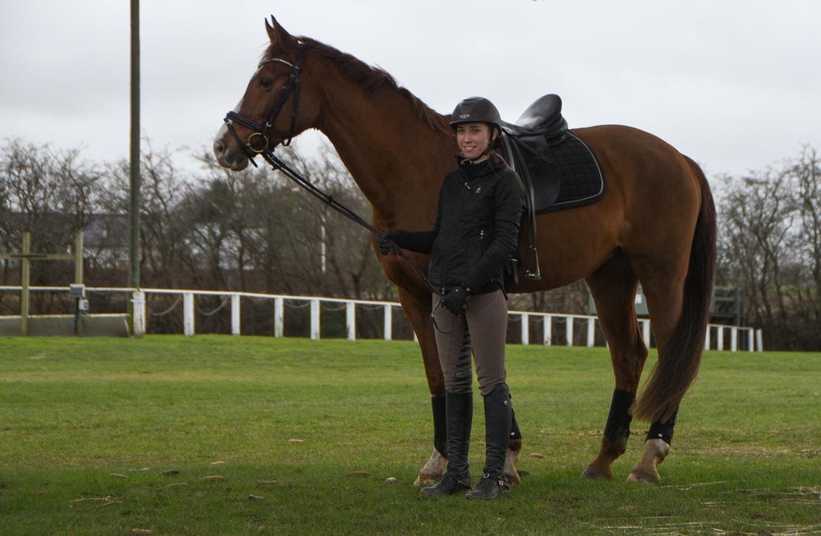 Anden særlig race Skovlunds Lacoste  - Min dejlige kost billede 18