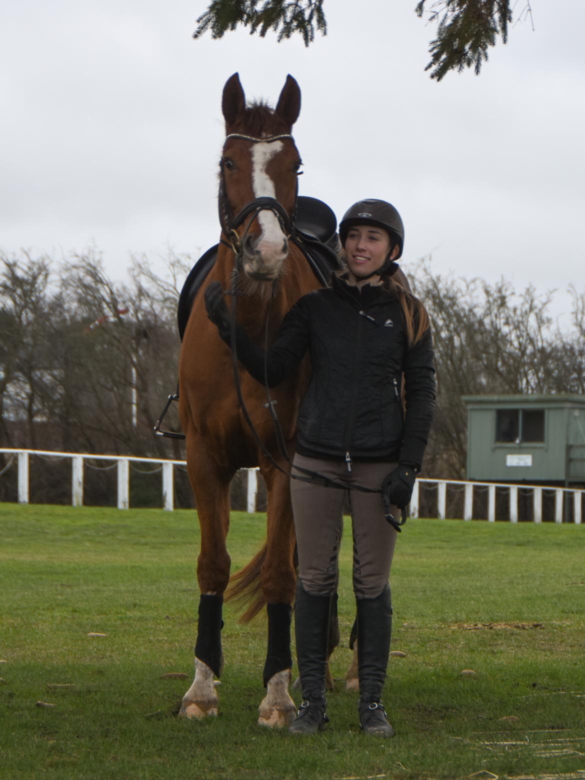 Anden særlig race Skovlunds Lacoste  billede 7
