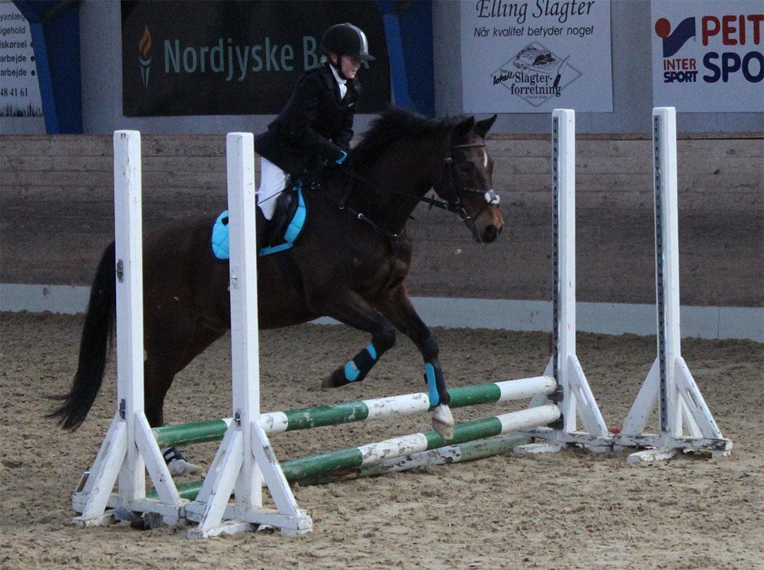 Tysk Sportspony Burghof´s voyager - Lerbæk 27- 28 feb 2016 billede 16