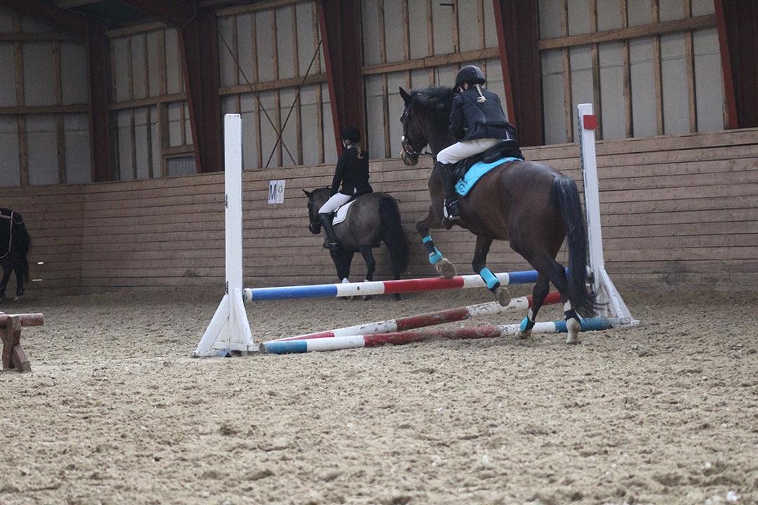 Tysk Sportspony Burghof´s voyager - Lerbæk 27- 28 feb 2016 billede 20