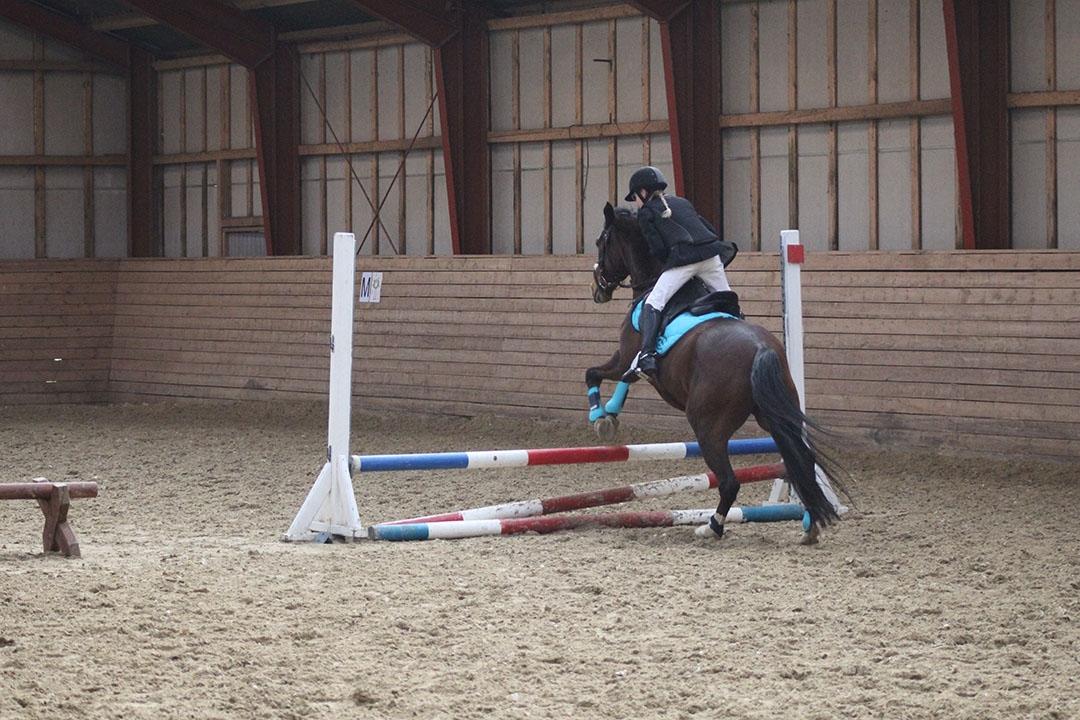 Tysk Sportspony Burghof´s voyager - Lerbæk 27- 28 feb 2016 billede 21