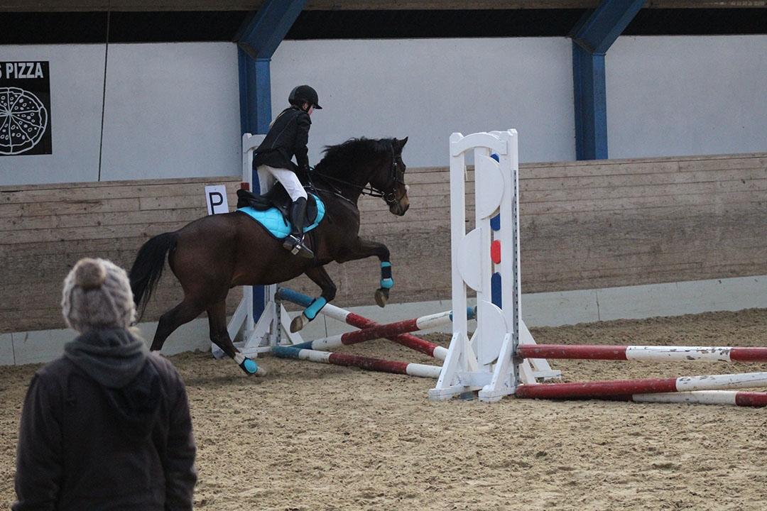 Tysk Sportspony Burghof´s voyager - Lerbæk 27- 28 feb 2016 billede 23