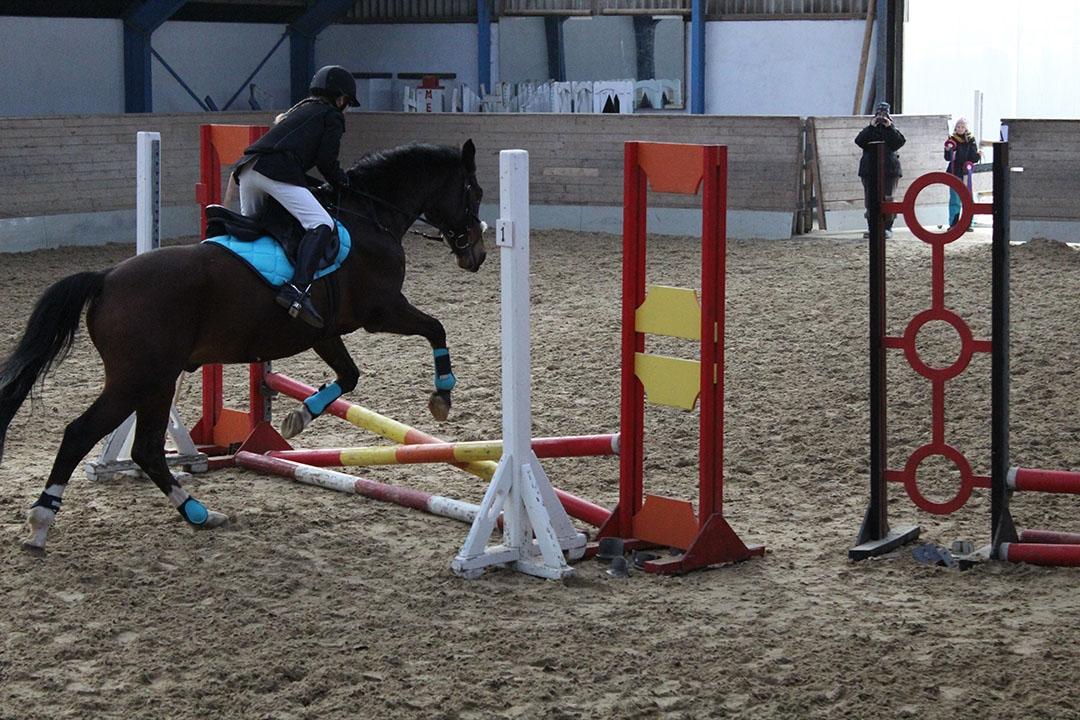 Tysk Sportspony Burghof´s voyager - Lerbæk 27- 28 feb 2016 billede 25