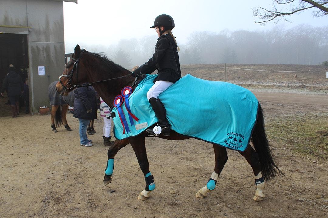 Tysk Sportspony Burghof´s voyager - Lerbæk 27- 28 feb 2016 billede 27