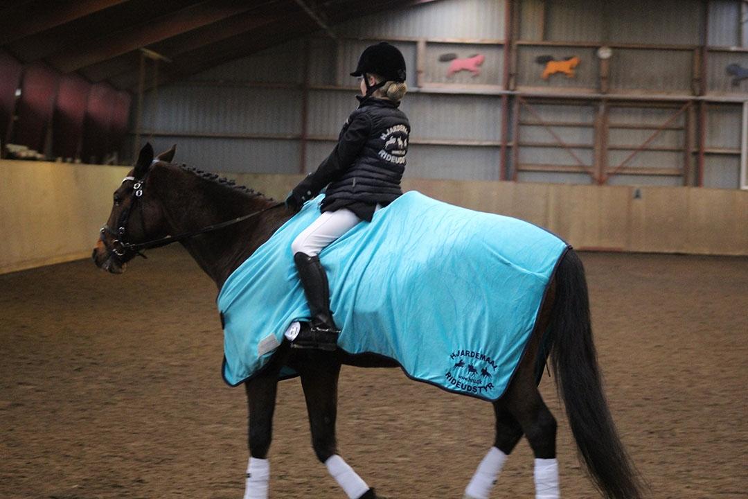 Tysk Sportspony Burghof´s voyager - Brønderslev rideklub 5-3-2016 billede 28