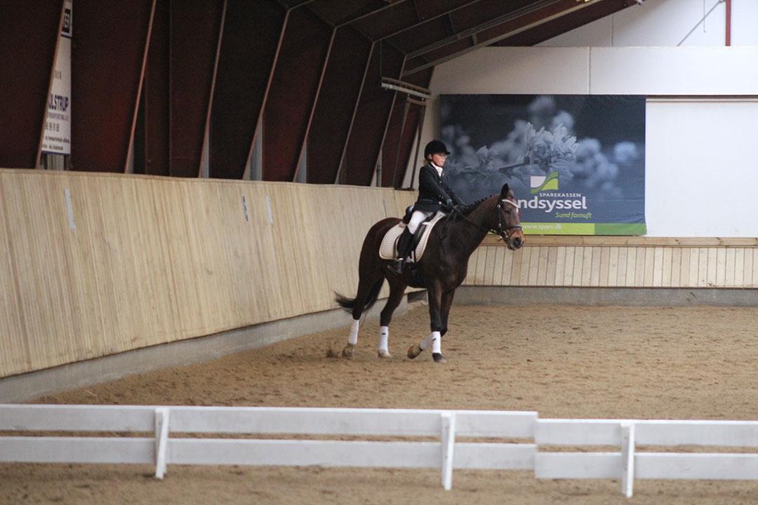 Tysk Sportspony Burghof´s voyager - Brønderslev rideklub 5-3-2016 billede 31