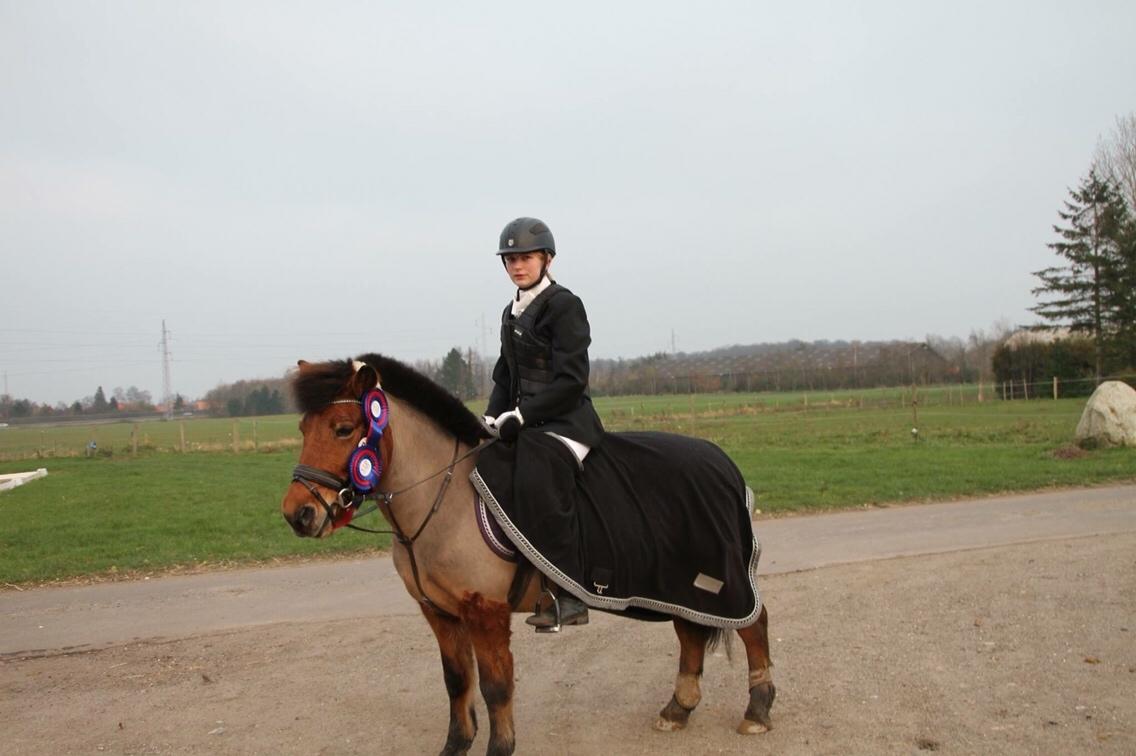 Anden særlig race Freja billede 24