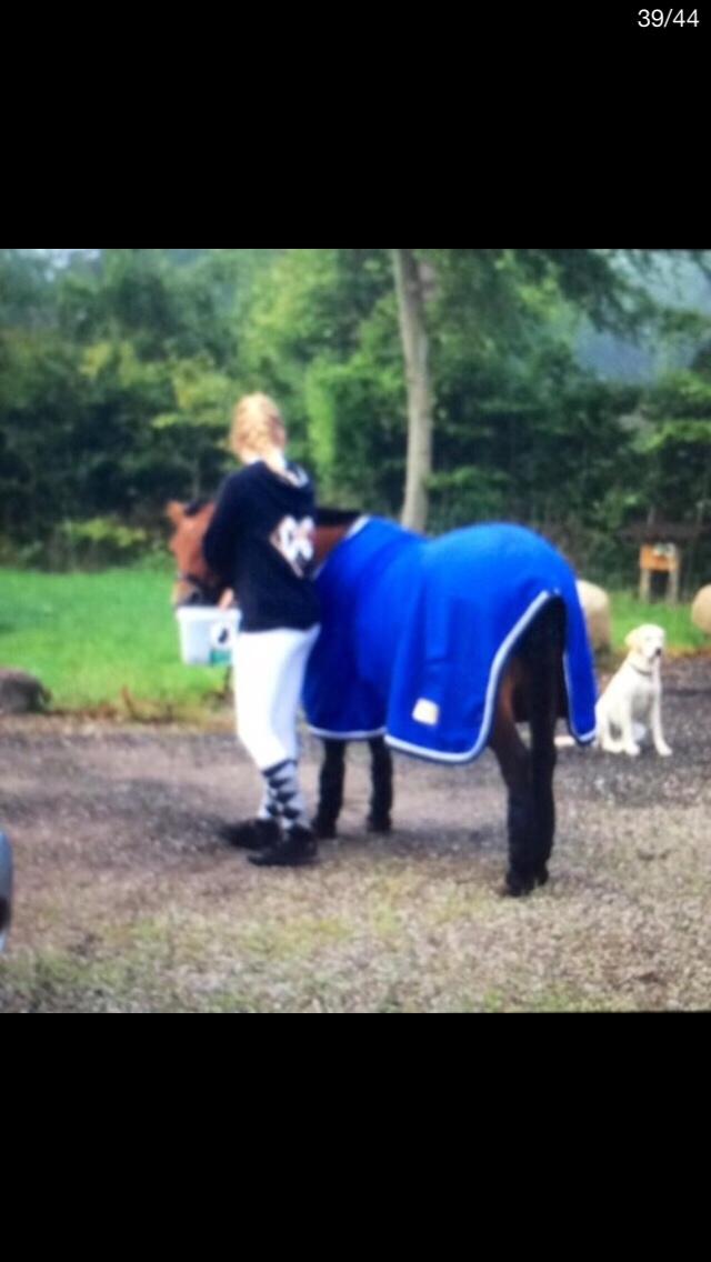 Anden særlig race Freja billede 29