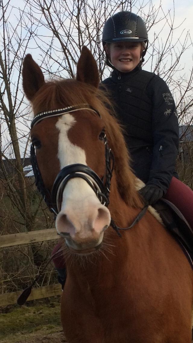 Anden særlig race Milando - Dejligste Milando <3 billede 1