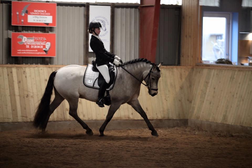 Connemara Skærgårdens Marvelous Night - NOR februar 2016 billede 18