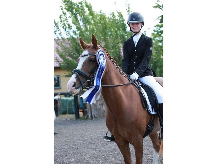 DSP Hoppesgård Stella - Klubmesterskab juni 15 billede 10