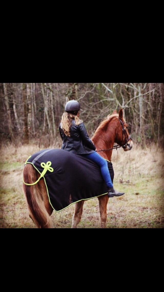 Frederiksborg Felix Landlyst SOLGT billede 12