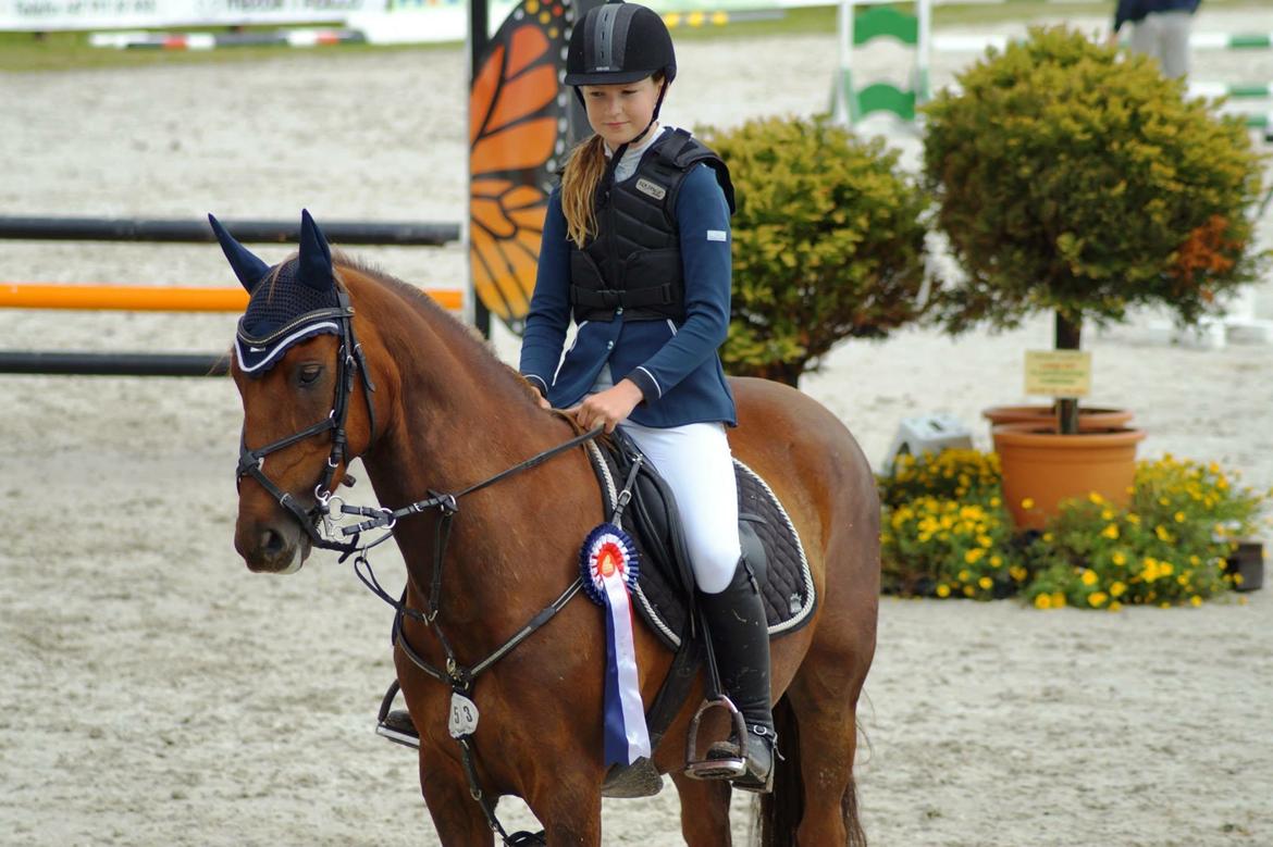 Hollandsk Sportspony Iwan A-pony - Vandt begge klasser til Stall Melby stævnet<3<3 billede 20