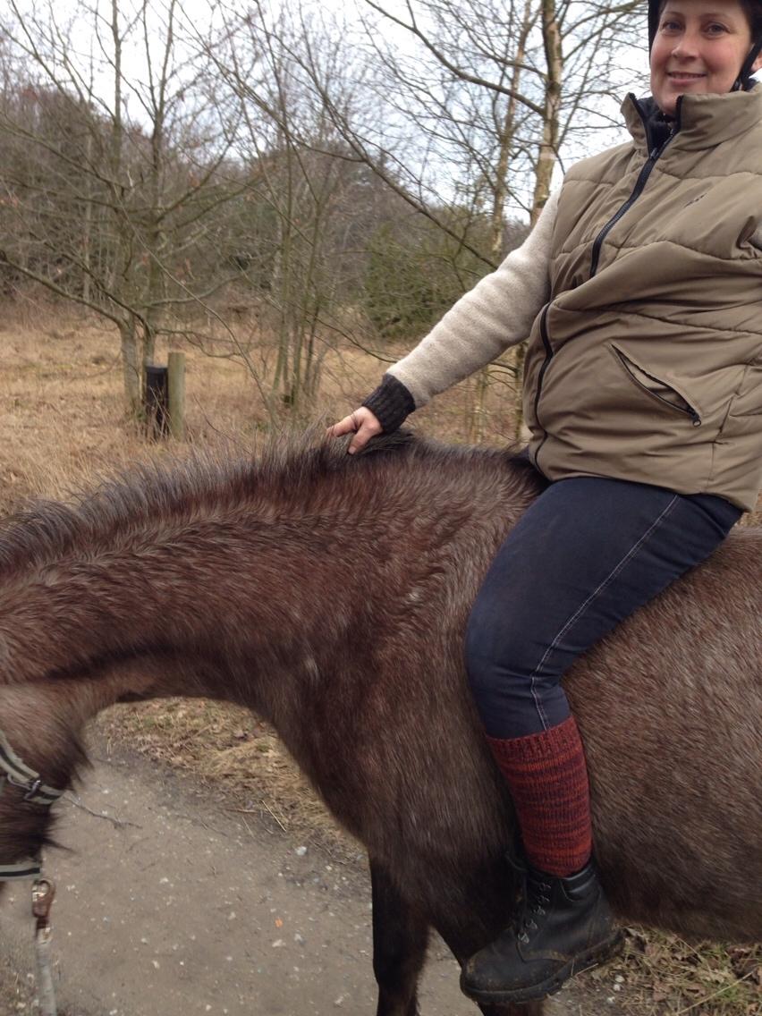 Anden særlig race Garcia Fox pox solgt billede 29