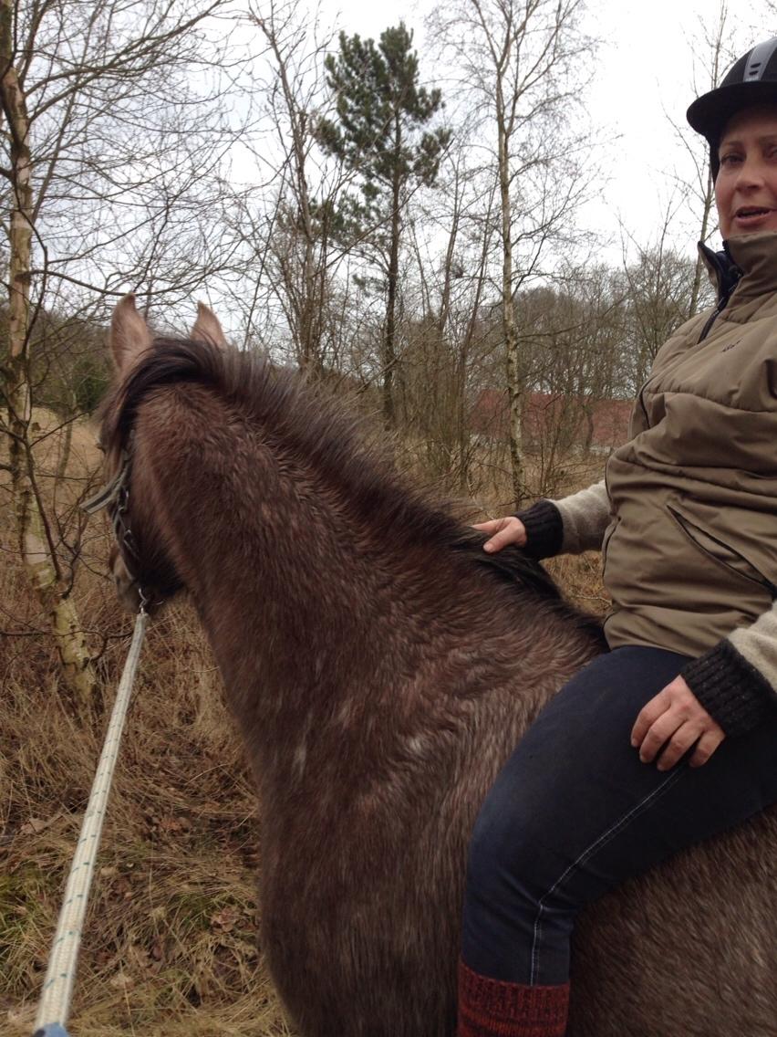 Anden særlig race Garcia Fox pox solgt billede 31