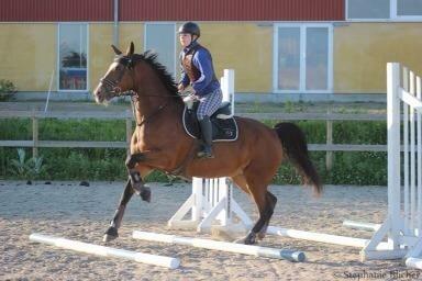 Frederiksborg Miss moonlight  billede 2