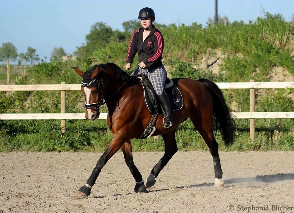 Frederiksborg Miss moonlight  billede 1