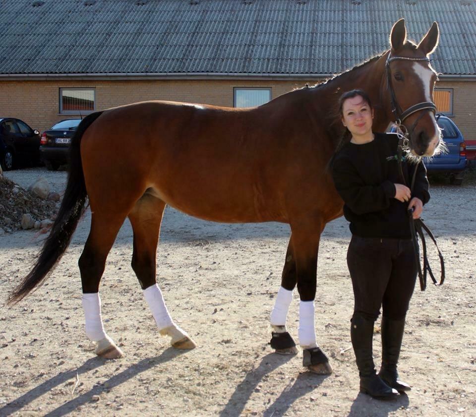 Frederiksborg Miss moonlight  billede 6