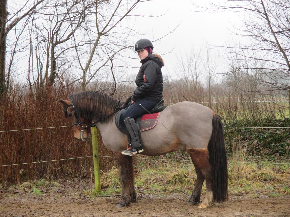 Anden særlig race Felix billede 14