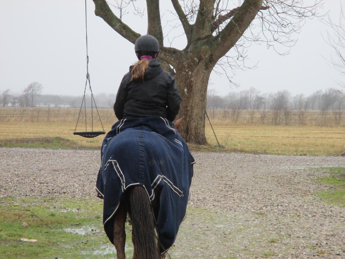 Anden særlig race Felix - Tak fordi du så med :) billede 20