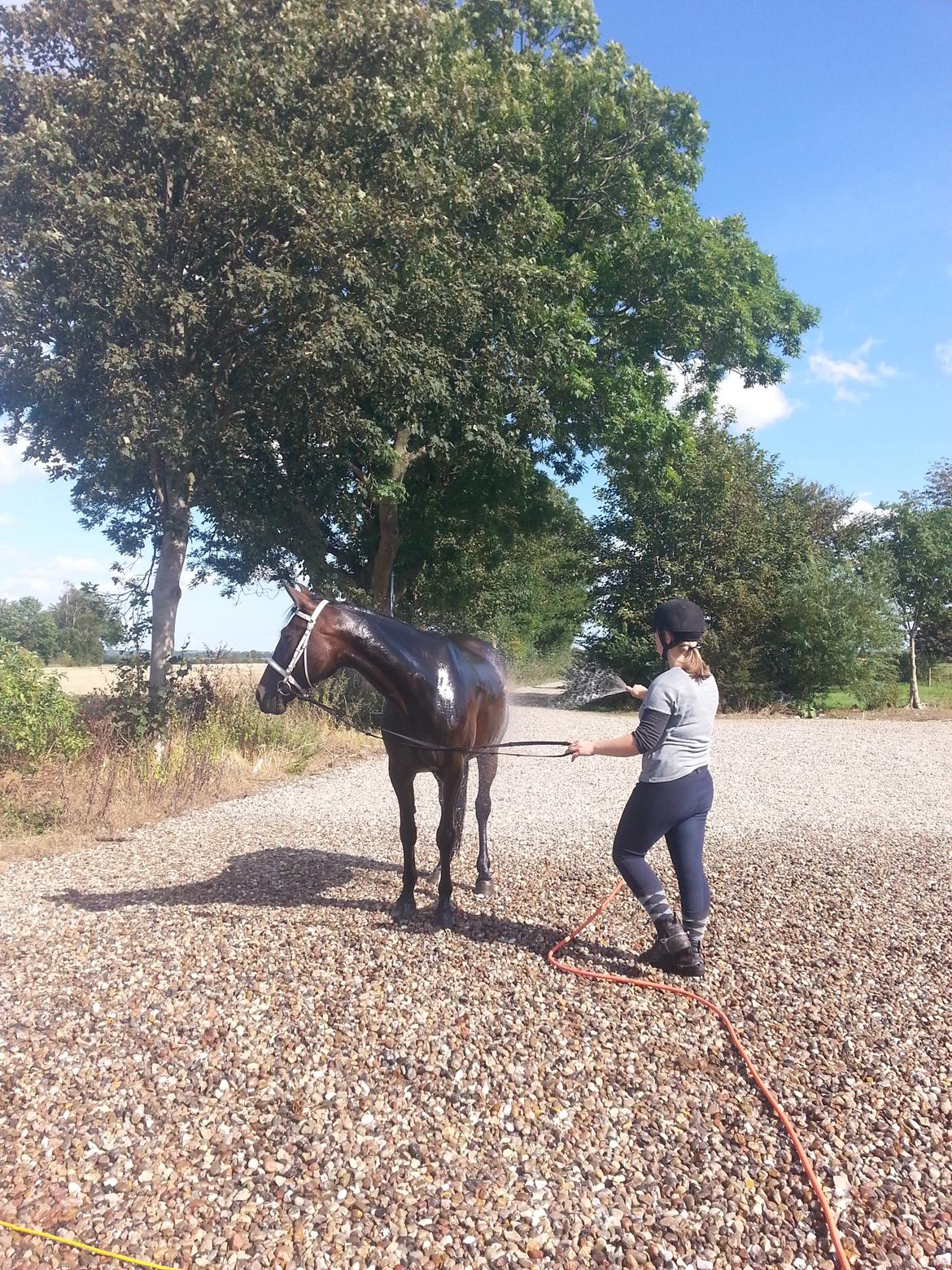 Traver Meranda Act - Dejlig sensommer dag :) billede 19