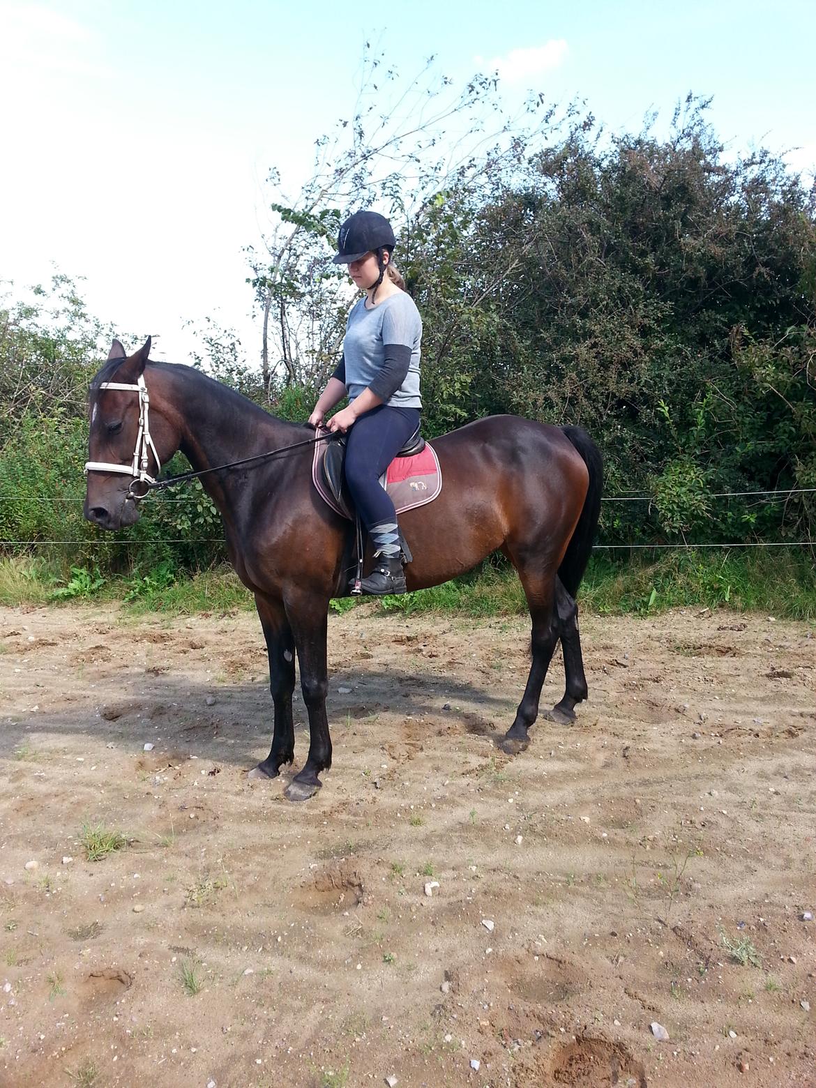 Traver Meranda Act - Tak fordi du ville se med læg gerne en kommentar :) billede 20