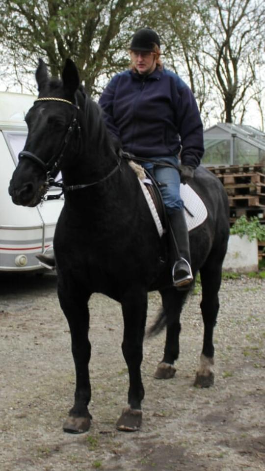 Anden særlig race  Pomkin billede 7