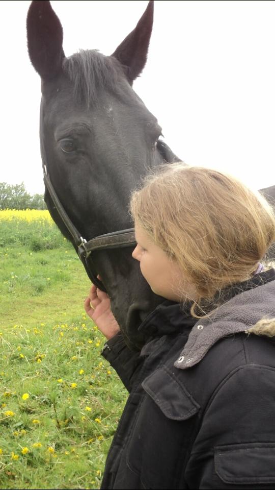 Anden særlig race  Pomkin billede 18