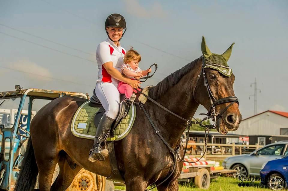 Tysk Oldenburger Tsandro song billede 14