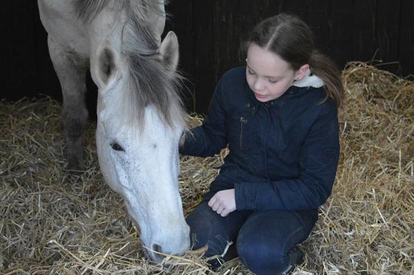 Connemara Stan billede 8