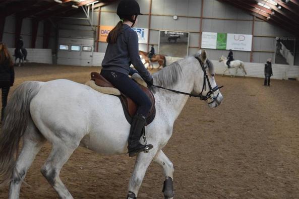 Connemara Stan billede 9