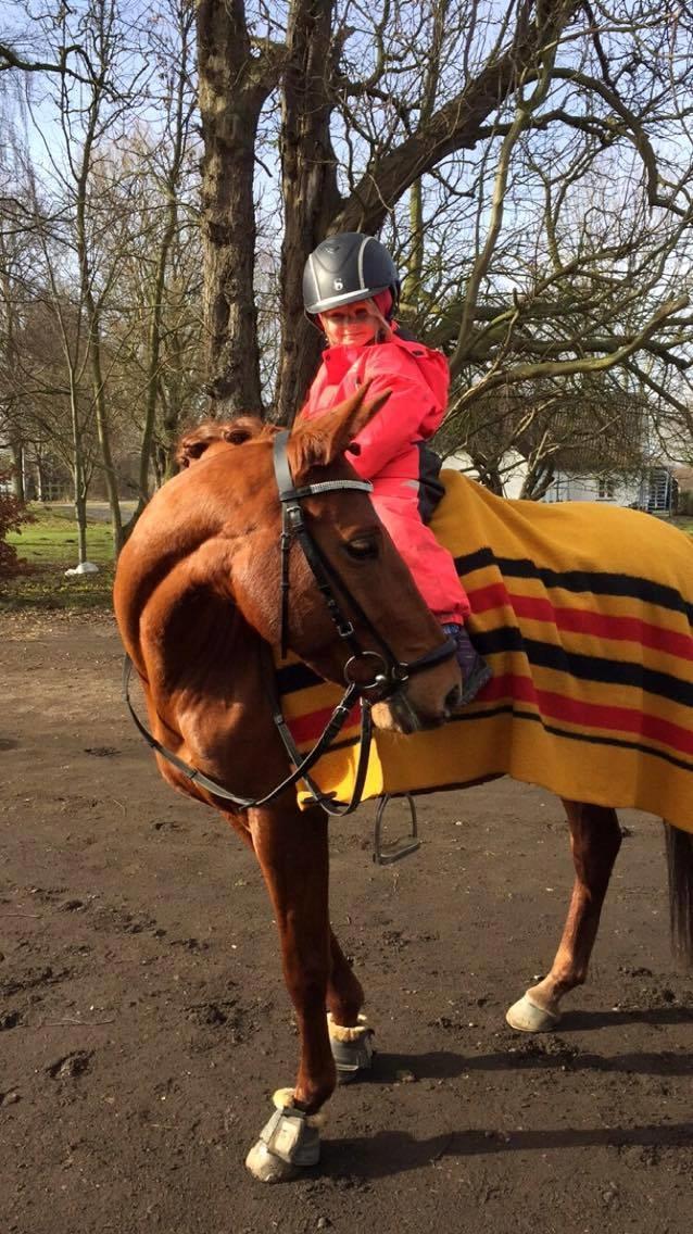 DSP Lykkesholms catla billede 9