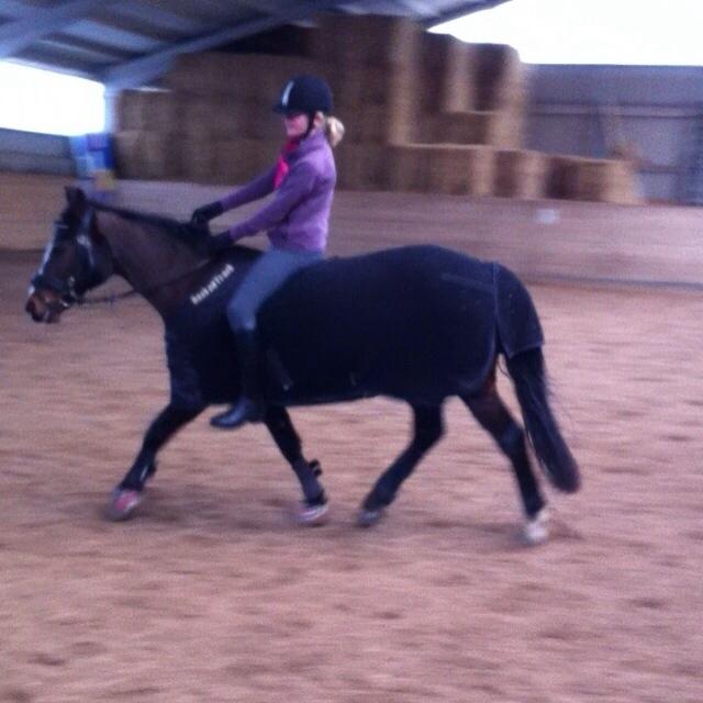 Connemara Claire[Tidl. Part] billede 16