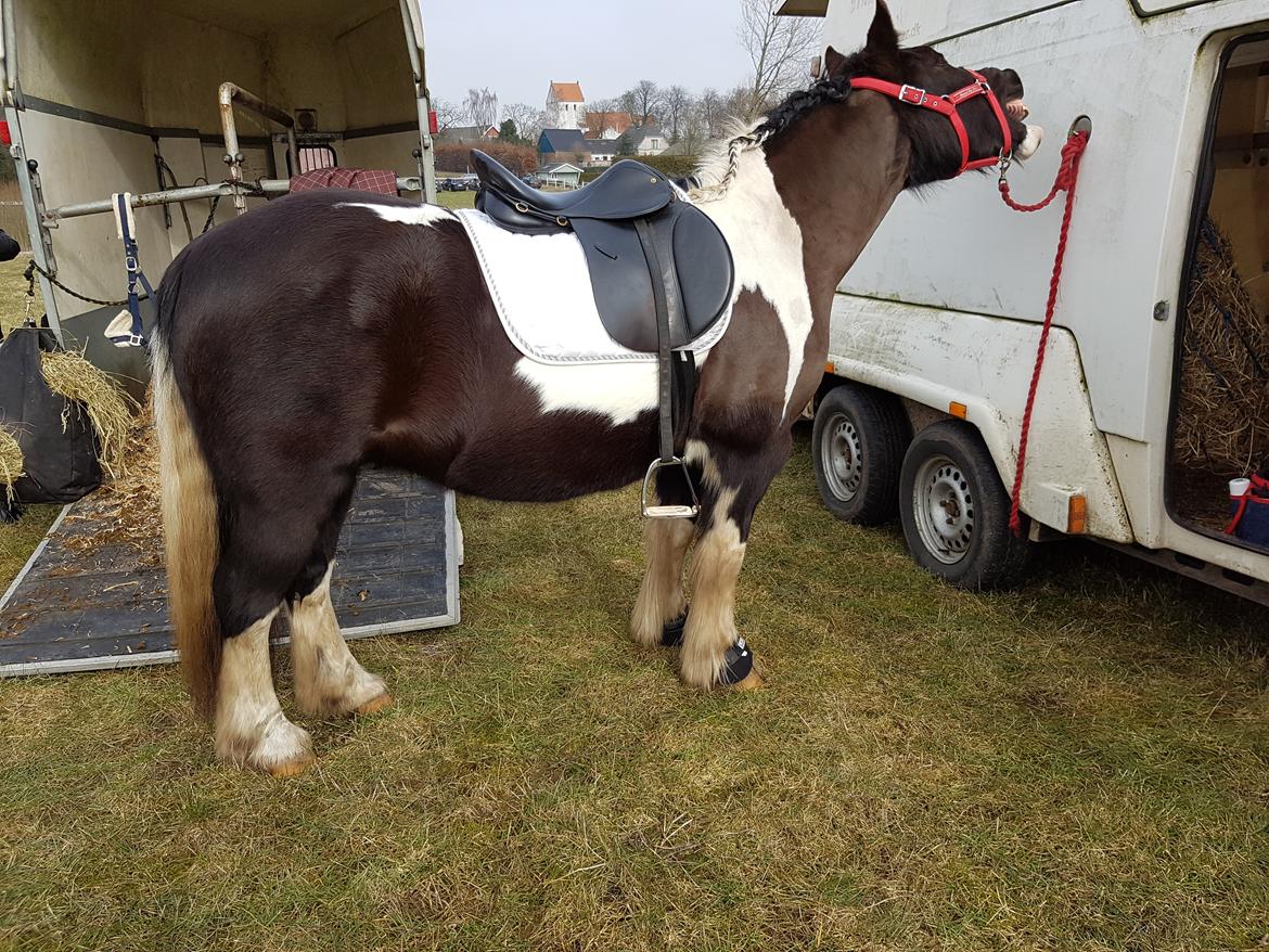 Tinker Frida billede 42