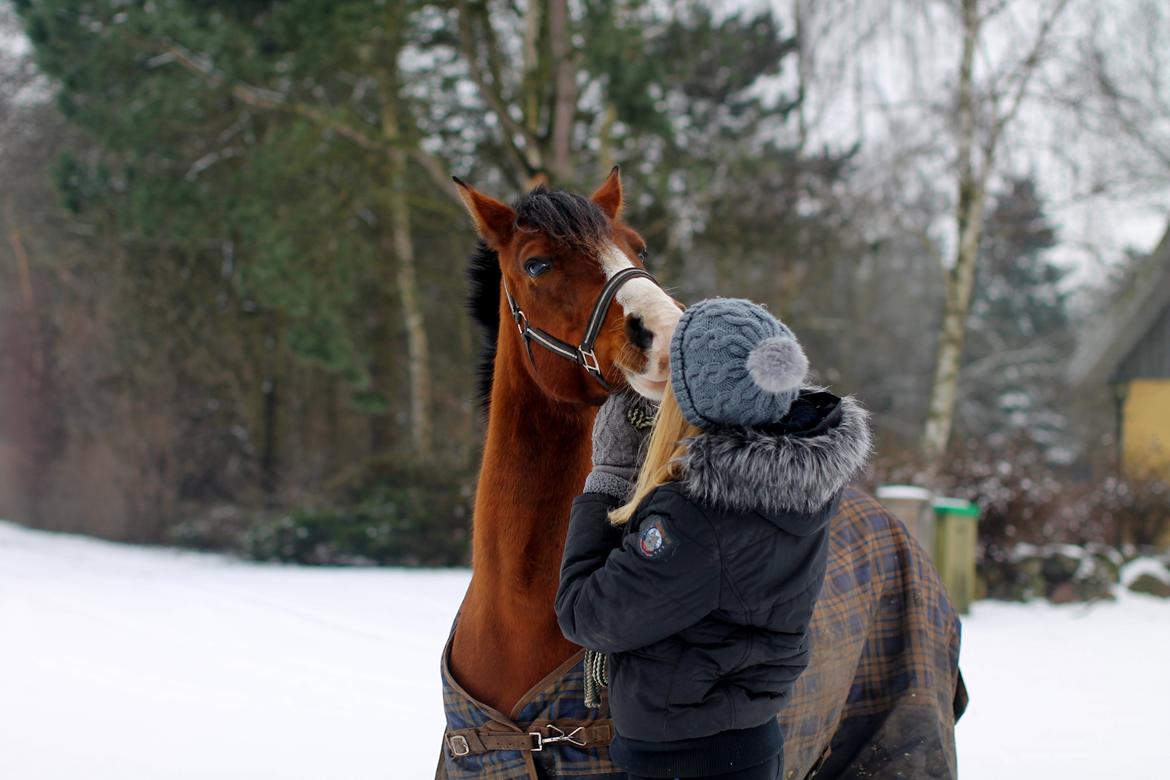 Anden særlig race Princess // P // My one and only - “I may not have gone where I intended to go, but I think I have ended up where I needed to be.” billede 8