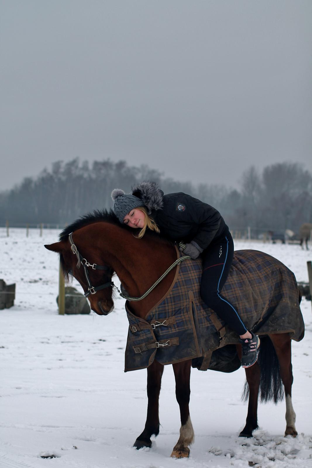 Anden særlig race Princess // P // My one and only billede 18