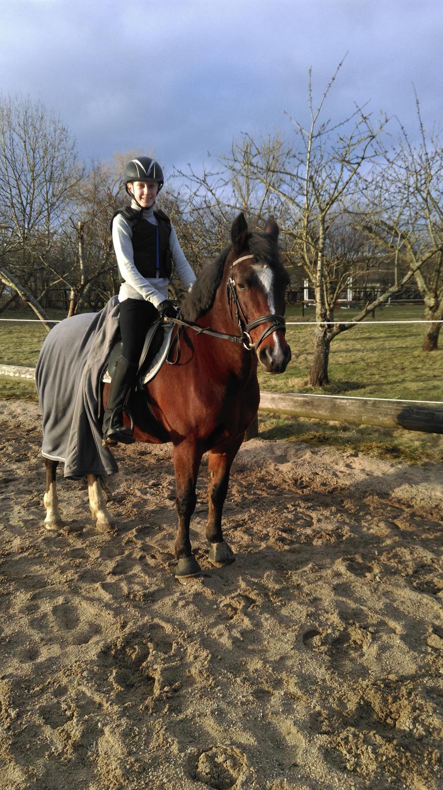 New Forest Shadow - Første ridetur på Shadow:)  billede 1